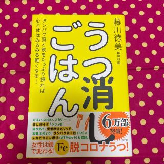 うつ消しごはん タンパク質と鉄をたっぷり摂れば心と体はみるみる軽く(結婚/出産/子育て)