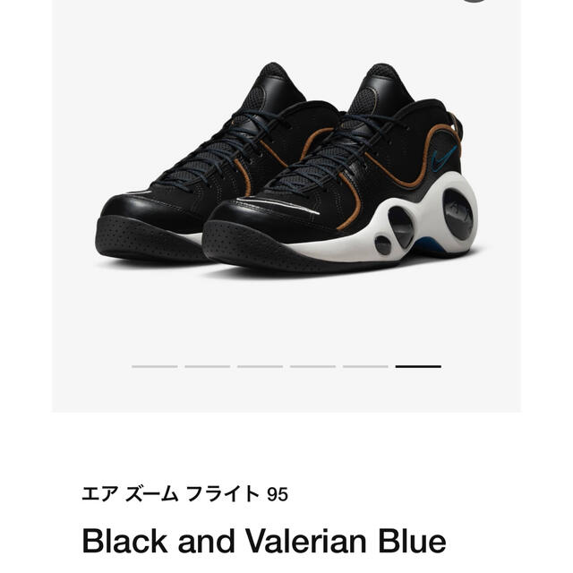 NIKE エアズームフライト95