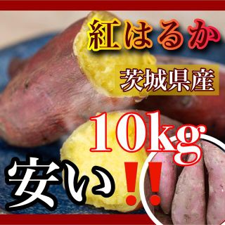 10kg さつまいも 紅はるか 茨城県産 訳あり品 産地直送(野菜)