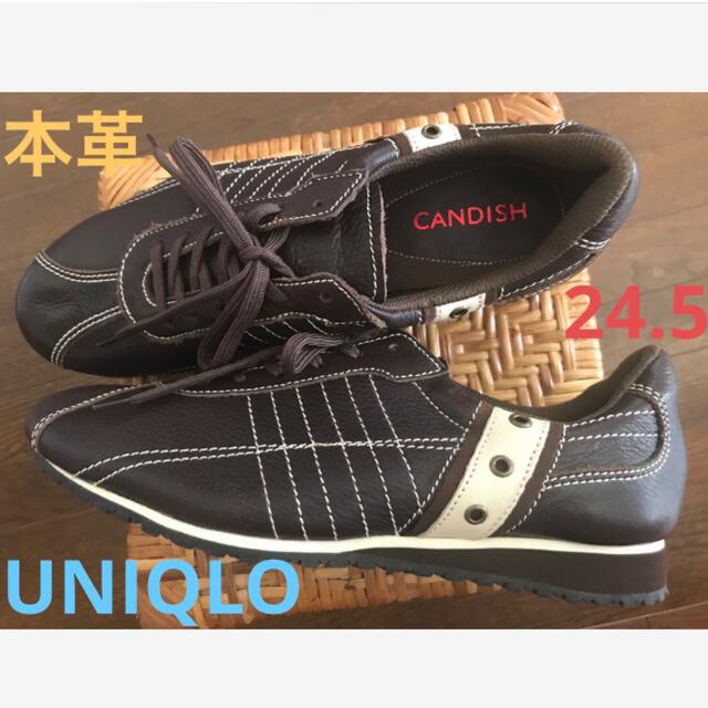 CANDISH(キャンディッシュ)の未使用☆ UNIQLO＊CANDISH 本革シューズ24.5 レディースの靴/シューズ(スニーカー)の商品写真