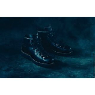 ダナー(Danner)のDANNER 007 60th MOUNTAIN LT 2 ダナー 007 60(ブーツ)