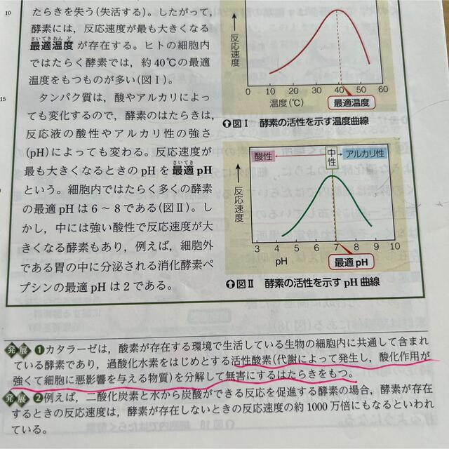 改訂版　生物基礎　高等学校理科用　生基316 数研出版　高校生物 エンタメ/ホビーの本(語学/参考書)の商品写真