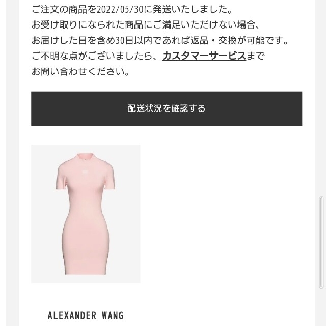 数々のアワードを受賞 alexanderwangアレキサンダーワング モック