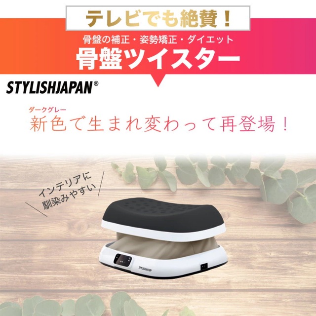 骨盤ツイスター　ダイエット器具 コスメ/美容のダイエット(エクササイズ用品)の商品写真