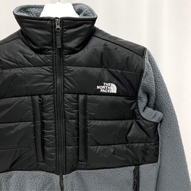 THE NORTH FACE  海外 デナリ フリース ジャケット