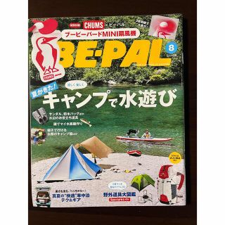 ショウガクカン(小学館)のBE-PAL  ビーパル　2019年８月号(趣味/スポーツ)