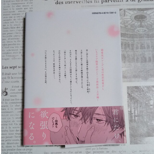 明けても暮れても 〜続　いつか恋になるまで〜　小冊子付き　初回限定版　倉橋トモ エンタメ/ホビーの漫画(ボーイズラブ(BL))の商品写真