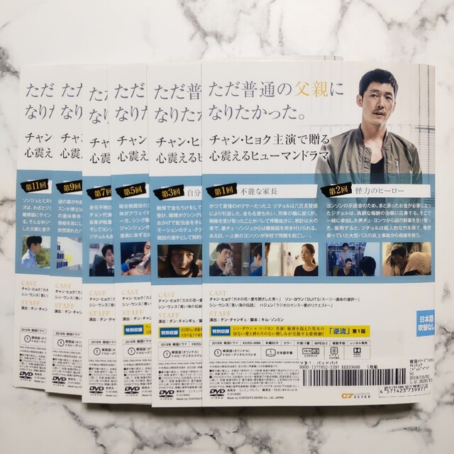 チャン・ヒョク★ソン・ヨウン『バッドパパ』レンタル落ちDVD★全巻★韓国ドラマ