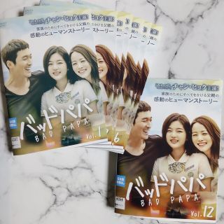 チャン・ヒョク☆ソン・ヨウン『バッドパパ』レンタル落ちDVD☆全巻