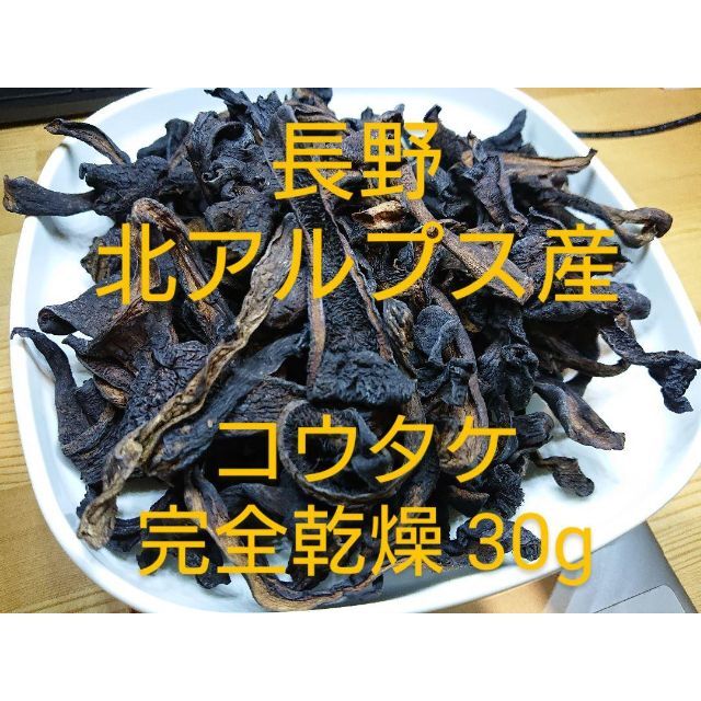 コウタケ　アドバイスしますの通販　信州北アルプス産　天然キノコ　乾燥30g　ゆしゃはま｜ラクマ　香茸　by