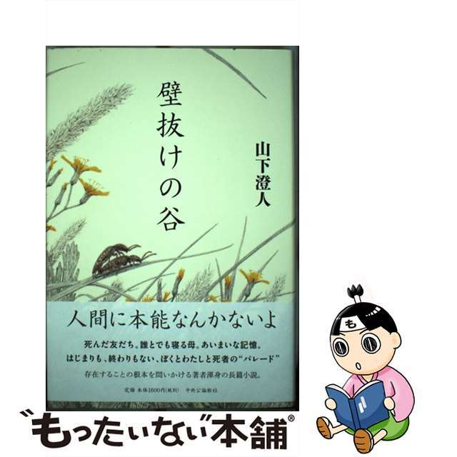 壁抜けの谷/中央公論新社/山下澄人