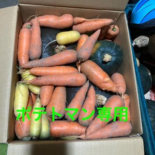 ポテトマン専用　にんじん、カボチャ(野菜)