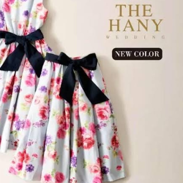 THE HANY レストローズコラボ　スカート M