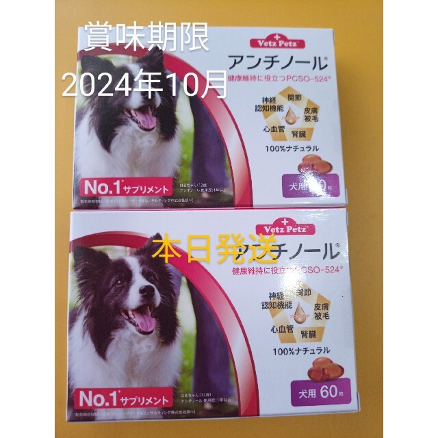 アンチノール　２箱犬用サプリメント