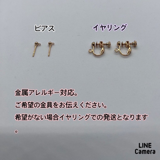 お花輝くキラキライヤリング レディースのアクセサリー(イヤリング)の商品写真