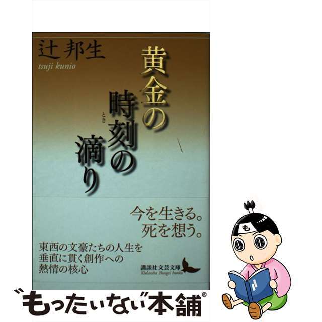 黄金の時刻の滴り/講談社/辻邦生