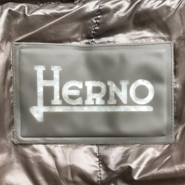 HERNO(ヘルノ)のヘルノ ダウンコート サイズ42 M - 長袖/冬 レディースのジャケット/アウター(ダウンコート)の商品写真