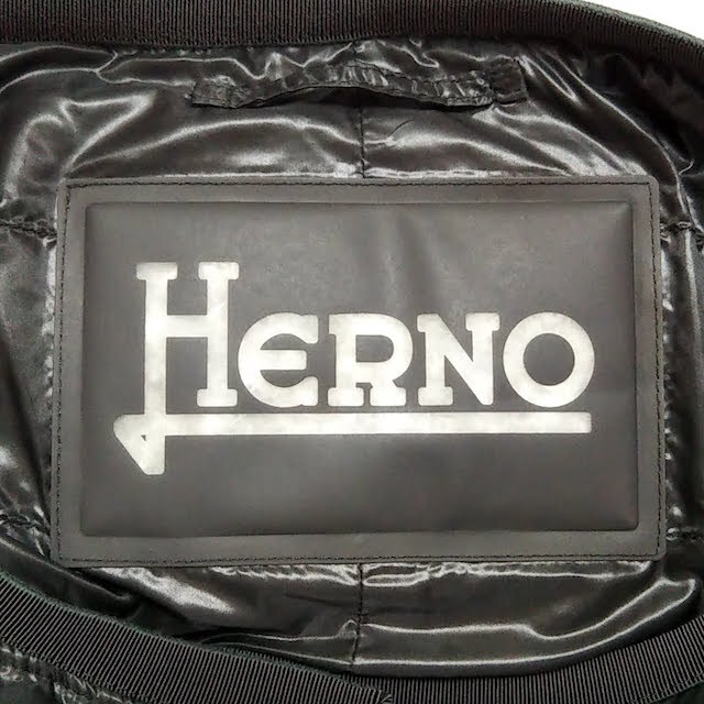 HERNO(ヘルノ)のヘルノ ダウンコート サイズ44 L - グレー レディースのジャケット/アウター(ダウンコート)の商品写真