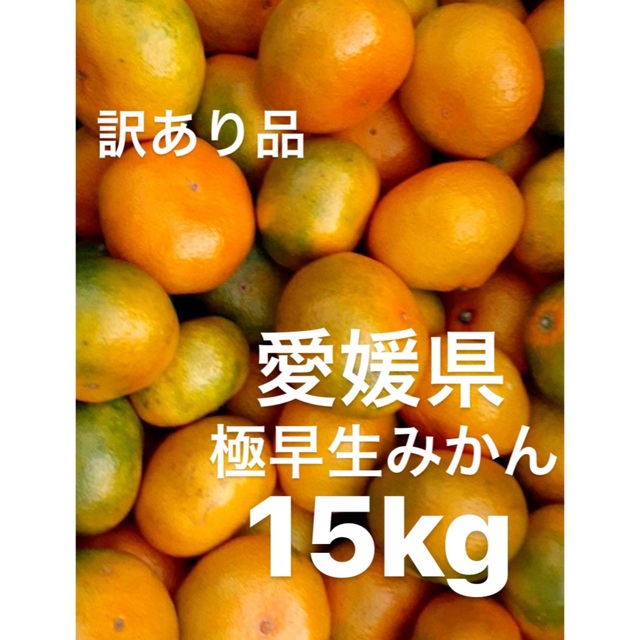 訳あり品 愛媛県 極早生みかん 家庭用 傷スレあり 柑橘 15kg