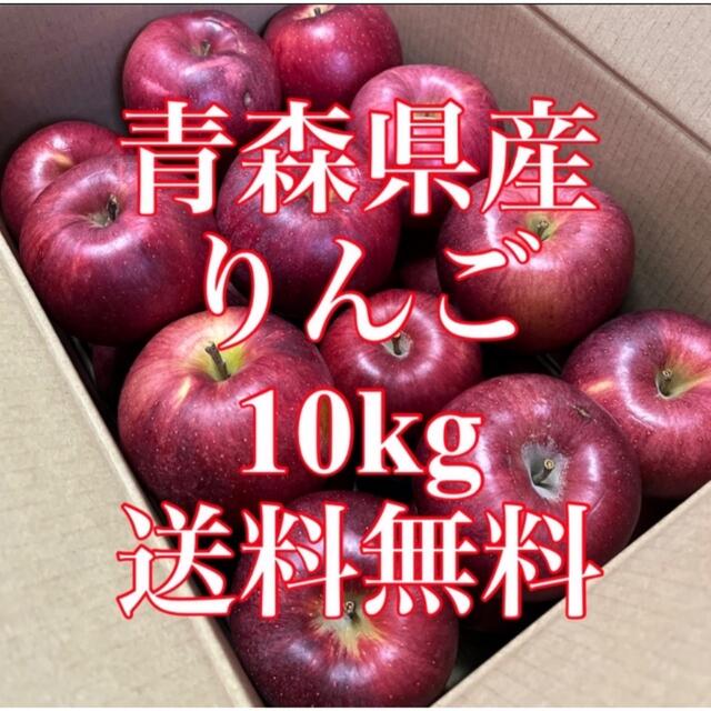 産地直送 家庭用りんご  希少品種  10kg 食品/飲料/酒の食品(フルーツ)の商品写真