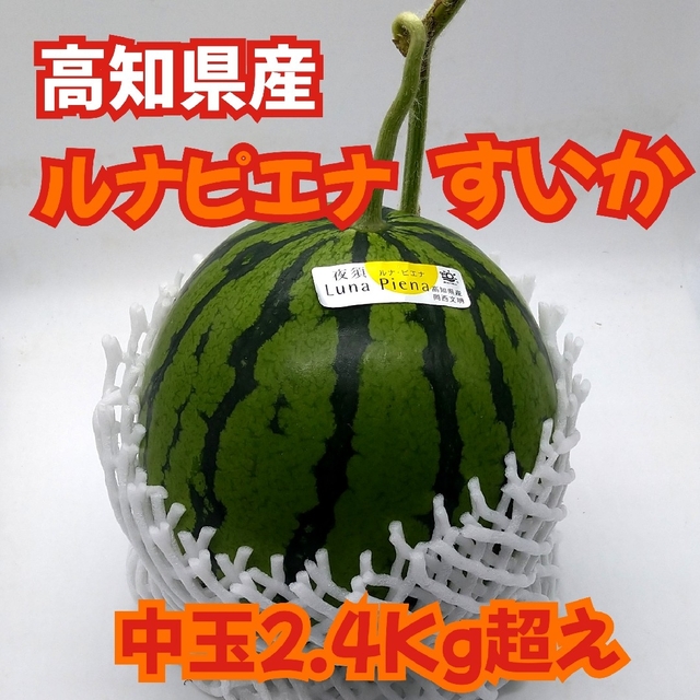 高知県産★高糖度❢ルナピエナ冬スイカ★とにかく甘くてサクサク❢中玉1玉 食品/飲料/酒の食品(フルーツ)の商品写真