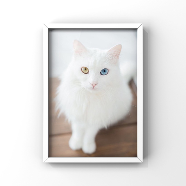 【アート】　Ａ４サイズ　かわいい猫の絵　白猫さん「オーバーライド」