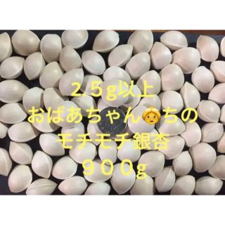 初出荷★おばあちゃんちのモチモチ銀杏2.5g以上９００g(野菜)