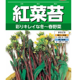 野菜種 紅菜苔 彩リキレイな冬～春野菜種 30粒(野菜)