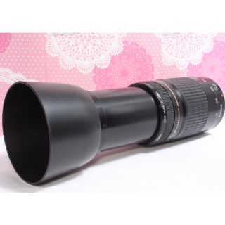 キヤノン(Canon)の超望遠レンズ✨レンズフード付き❤超美品✨Canon EF 75-300 USM(レンズ(ズーム))