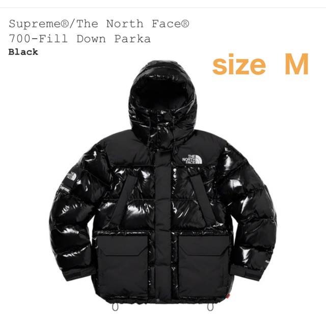 ダウンジャケット Supreme - Supreme The North Face 700-fill down M