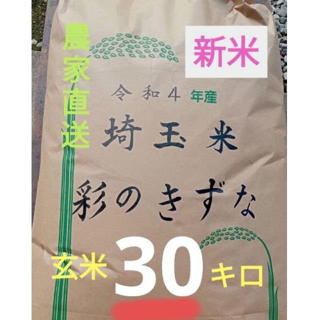 令和4年! 新米 埼玉県産 減農薬 彩のきずな 玄米 30キロ | フリマアプリ ラクマ