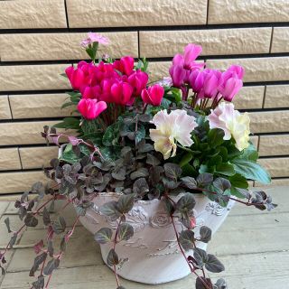 ピンクの上品な寄せ植え♡(プランター)