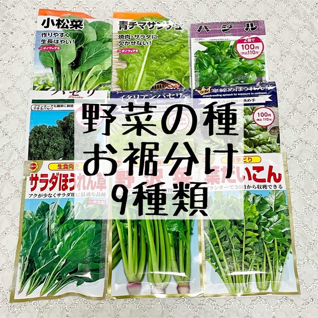 野菜の種 お裾分け 9種類 食品/飲料/酒の食品(野菜)の商品写真