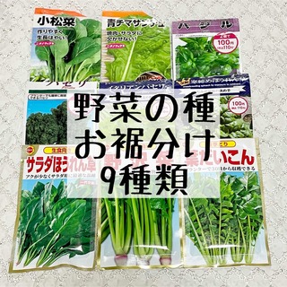 野菜の種 お裾分け 9種類(野菜)