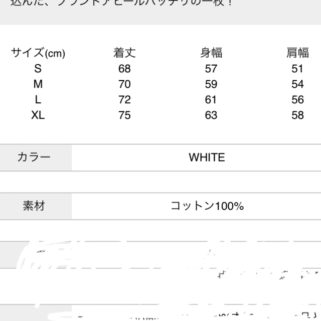 W)taps(ダブルタップス)のWTAPS STENCIL L/S TEE  202ATDT-LT01S メンズのトップス(Tシャツ/カットソー(七分/長袖))の商品写真