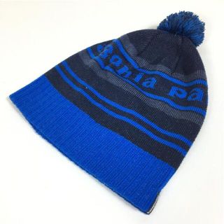 パタゴニア(patagonia)のUNISEX One  パタゴニア パウダー タウン ビーニー Powder Town Beanie PATAGONIA 29186 PSGB ブルー系(その他)