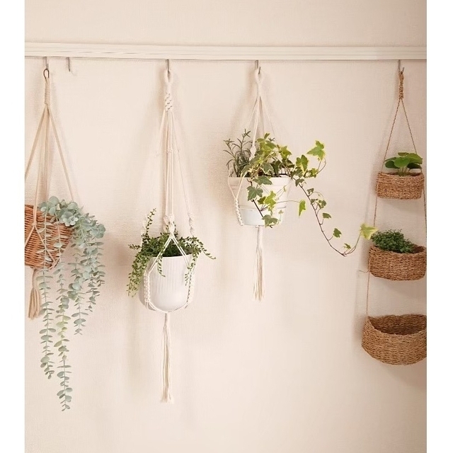 ハンギングロープ　植物　マクラメ　プラントハンガー ハンドメイドのインテリア/家具(インテリア雑貨)の商品写真