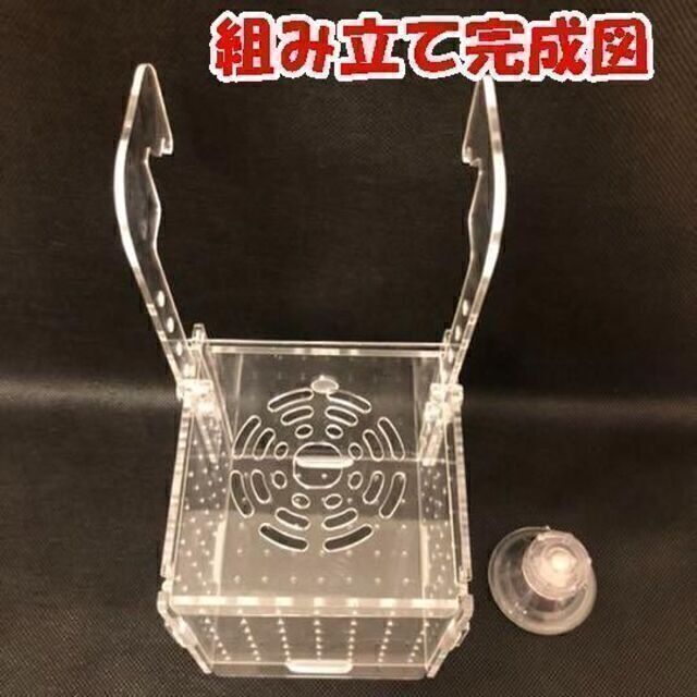 隔離ケース  隔離ボックス 稚魚ケース 10×10×10 水槽 水族 魚 メダカ その他のペット用品(アクアリウム)の商品写真