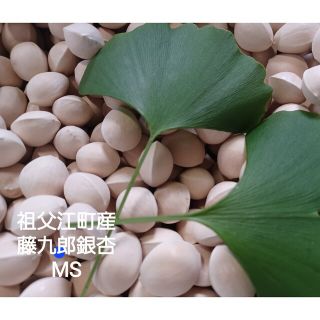 愛知県稲沢市祖父江町産　MSサイズ　900g 藤九郎銀杏　ぎんなん　翡翠色(野菜)