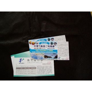 ◆藤田観光　株主優待券　10枚＋日帰り施設利用券　2枚　S-16(宿泊券)