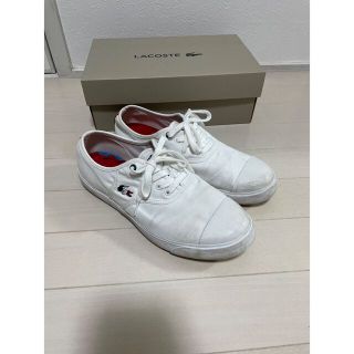 ラコステ(LACOSTE)のラコステ　トリコロール　スニーカー(スニーカー)