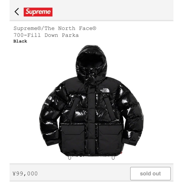 Supreme North Face 700-Fill Down Parka S