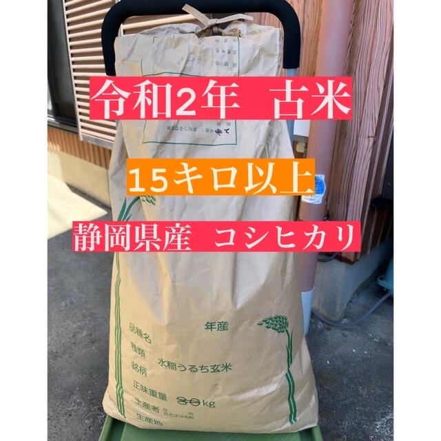 令和2年度　15kg以上　古米　静岡県産　コシヒカリ　玄米