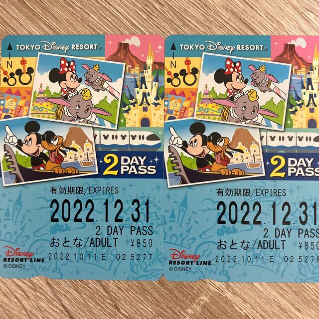 Disney(ディズニー)の東京ディズニーリゾートライン 2day pass 2枚 未使用 期限内 チケットの施設利用券(遊園地/テーマパーク)の商品写真