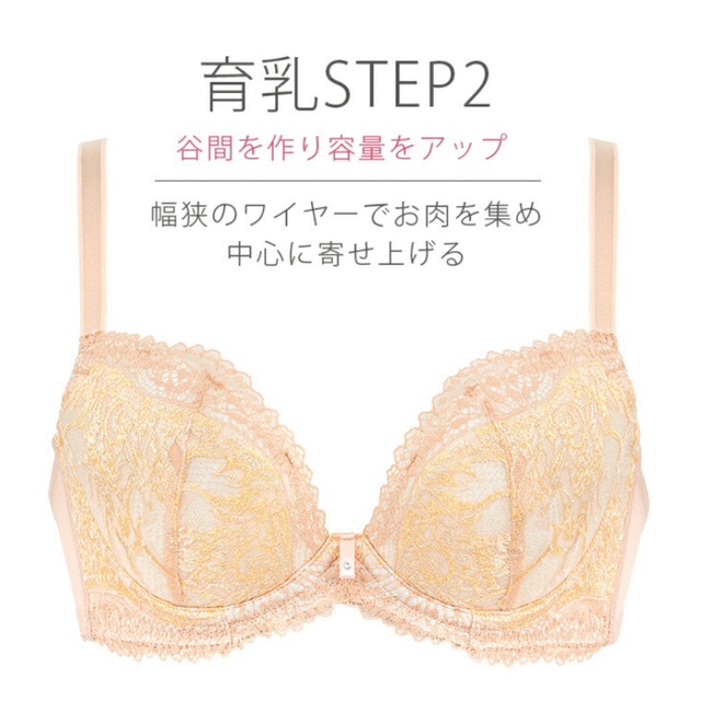 BRADELIS New York(ブラデリスニューヨーク)のBRADELIS New York 育乳 育乳ブラ  ブラジャー 70B レディースの下着/アンダーウェア(ブラ)の商品写真