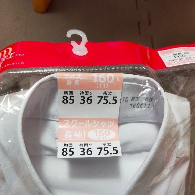 ぴいまま5303様専用です 【新品】 スクールシャツ 丸襟 160cm セットの