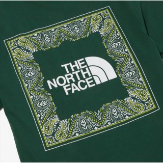 ザノースフェイス(THE NORTH FACE)のノースフェイス Tシャツ Lサイズ  バンダナ ペイズリー グリーン 緑(Tシャツ/カットソー(半袖/袖なし))