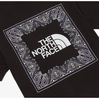 ザノースフェイス(THE NORTH FACE)のノースフェイス Tシャツ Lサイズ  バンダナ ペイズリー 黒 ブラック(Tシャツ/カットソー(半袖/袖なし))