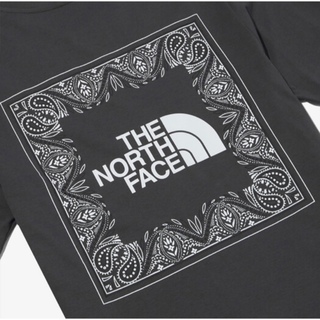 ノースフェイス(THE NORTH FACE) ペイズリー Tシャツ・カットソー 