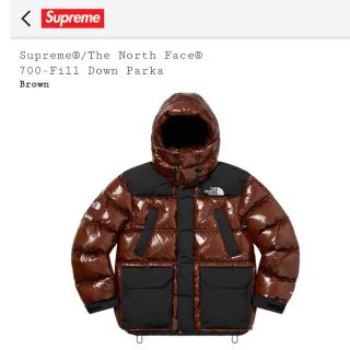 シュプリーム(Supreme)のSupreme The North Face 700 Fill Downブラウン(ダウンジャケット)